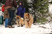 Aslan und Wanja