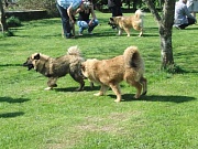 Maxi und Leo