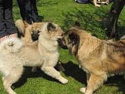 Gandhi und Mama Lenka