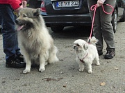 Joshi und Emily