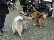 Leo und Großmutter Wanja