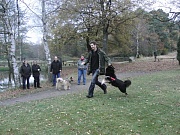 Staffellauf