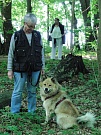 Hundewanderung am 8.6.13