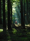 Finnja im Märchenwald