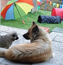 Eywa und Newa