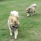 Hugo mit Wanja