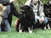Haakon