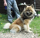 Hugo