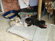 Eywa, Jim und Piri