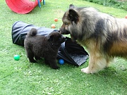 Lenka und Jomiko