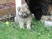 Eywa mit Mama