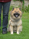 Aslan von der Schloburg