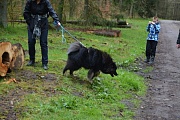 Kosmo will nicht!