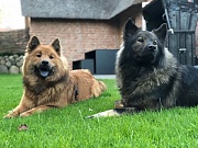 Stella und Leni auf Sylt