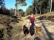 Mit Tine im Langenberger Forst
