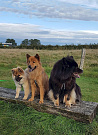 Nayeli, Stella und Cuba