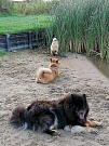 Nayeli, Stella und Cuba