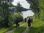 Spaziergang zum Nord-Ostsee-Kanal