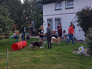 Spiel und Spaß für Hund und Mensch