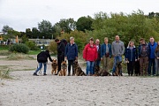 Die linke Seite