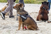 Anni vom Ostseestrand