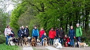 Eine gemischte Gruppe von 18 Hunden