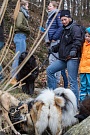 Ein Strauß Eurasier