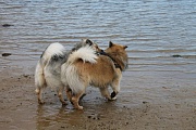Miina und Motte