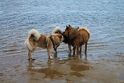 Anouk, Amal und Marty