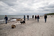 Auf zum Strandspaziergang