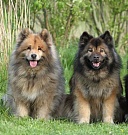 Wanja und Lenka