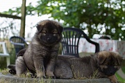 Lia und Lotta