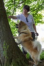 Aslan probiert es auch