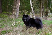 Lasse oder Luca
