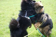 Lima und Luca
