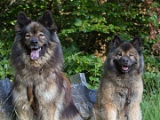 Davinci und Lenka