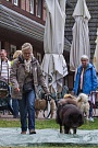 Nicki (Riekendahl's E'Lakota) und Claudia