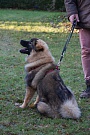 Lenya 