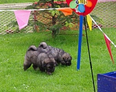Lenya und Lima 