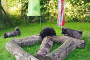 Klettergarten