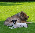 Wanja und Bille