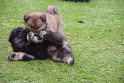 Jim und Jago 