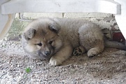 Eywa liegt im kühlen Sand