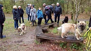 Alle Hunde mal auf die Bank