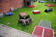 Essen fassen!