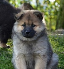 Keiko