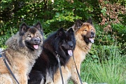 Lenka, Inouk und Fenris