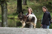Hundewanderung am 30.8.14 
