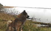 Lenka