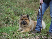 Fenris